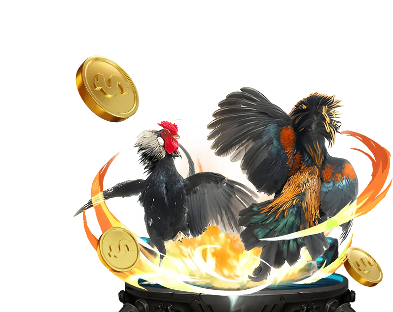 Đăng nhập và bắt đầu chơi Rio66